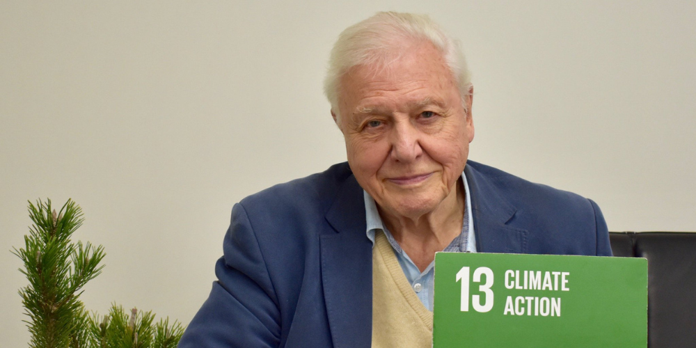 Legacy of Environmentalist Celebs - Honoring Sir David Attenborough